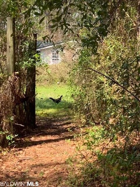 26264 Feely Rd, Elberta, AL 36530 photo 13