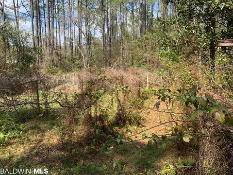 26264 Feely Rd, Elberta, AL 36530 photo 22