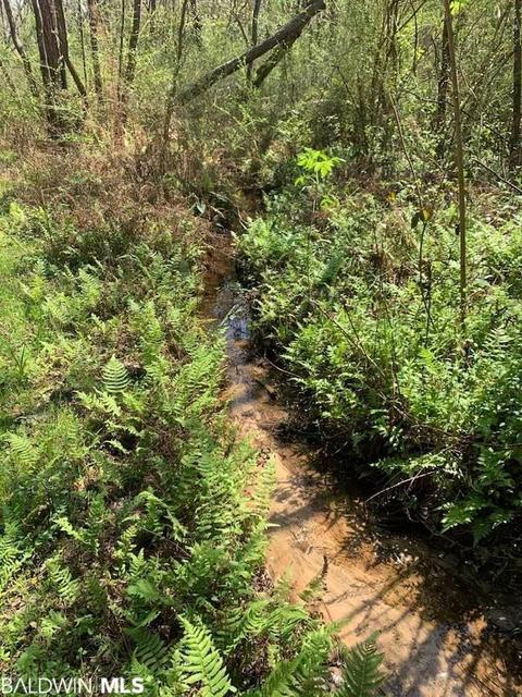 26264 Feely Rd, Elberta, AL 36530 photo 6