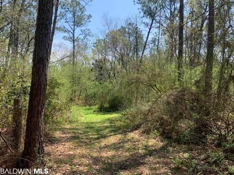 26264 Feely Rd, Elberta, AL 36530 photo 23