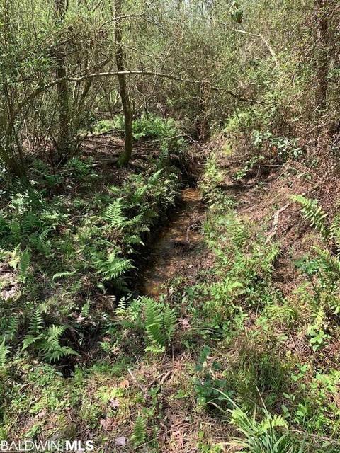 26264 Feely Rd, Elberta, AL 36530 photo 5