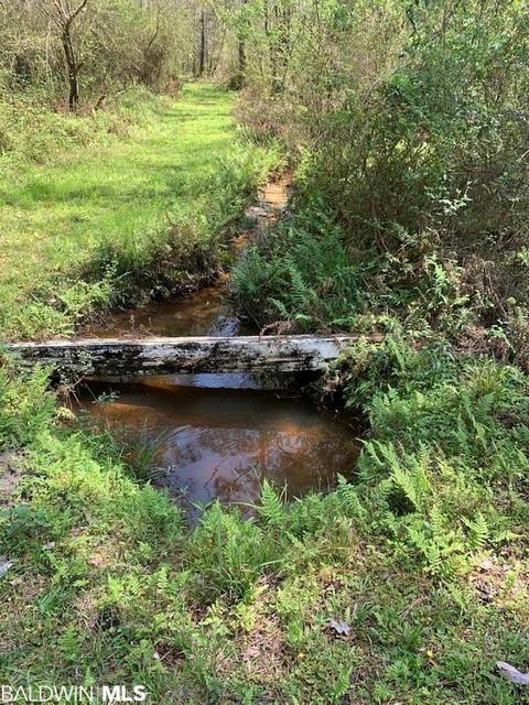 26264 Feely Rd, Elberta, AL 36530 photo 16
