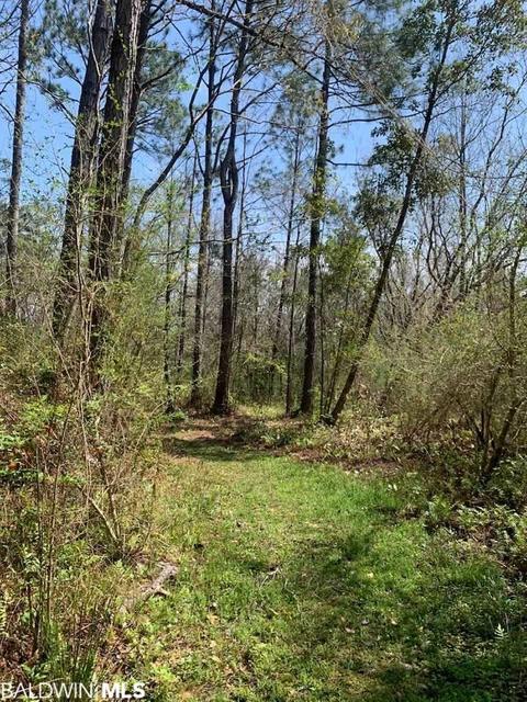 26264 Feely Rd, Elberta, AL 36530 photo 12