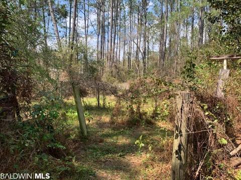 26264 Feely Rd, Elberta, AL 36530 photo 15