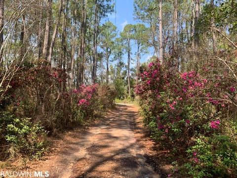 26264 Feely Rd, Elberta, AL 36530 photo 19