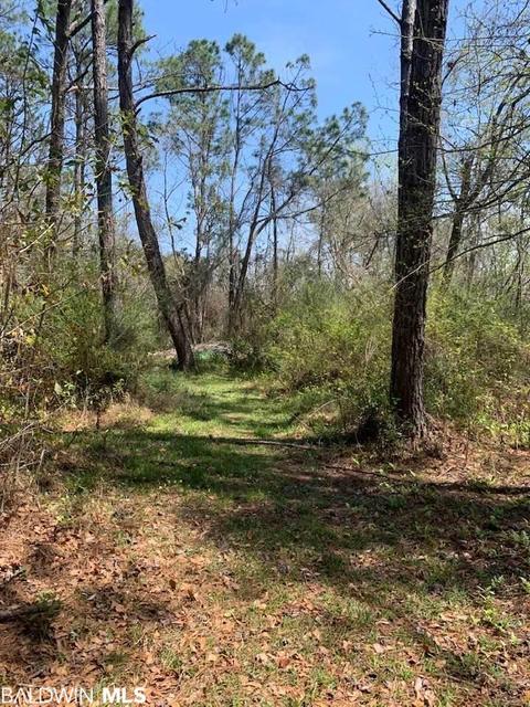 26264 Feely Rd, Elberta, AL 36530 photo 10
