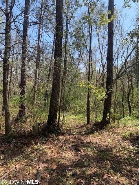 26264 Feely Rd, Elberta, AL 36530 photo 27