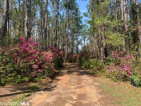 26264 Feely Rd, Elberta, AL 36530 photo 20