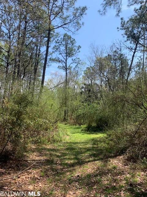26264 Feely Rd, Elberta, AL 36530 photo 4