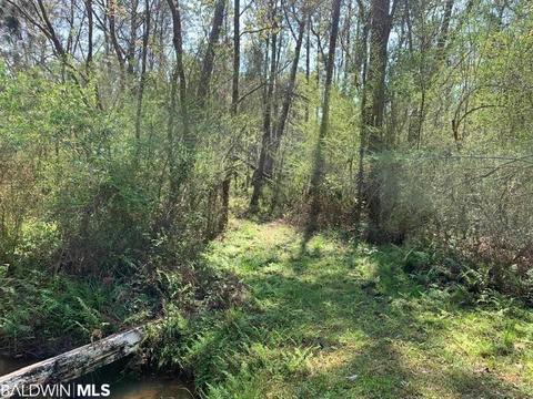 26264 Feely Rd, Elberta, AL 36530 photo 9