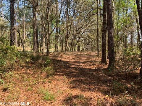 26264 Feely Rd, Elberta, AL 36530 photo 11
