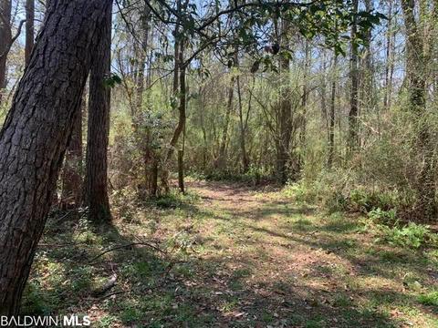 26264 Feely Rd, Elberta, AL 36530 photo 3