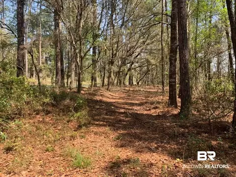 26264 Feely Rd, Elberta, AL 36530 photo 11