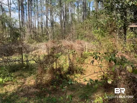26264 Feely Rd, Elberta, AL 36530 photo 22