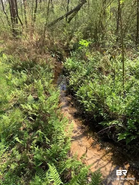 26264 Feely Rd, Elberta, AL 36530 photo 6