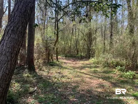 26264 Feely Rd, Elberta, AL 36530 photo 3