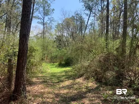 26264 Feely Rd, Elberta, AL 36530 photo 23