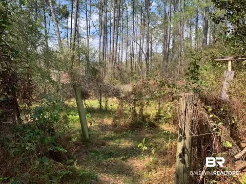 26264 Feely Rd, Elberta, AL 36530 photo 15