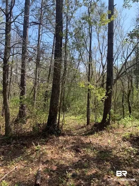 26264 Feely Rd, Elberta, AL 36530 photo 27