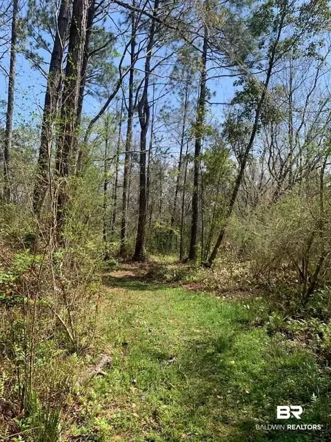 26264 Feely Rd, Elberta, AL 36530 photo 12