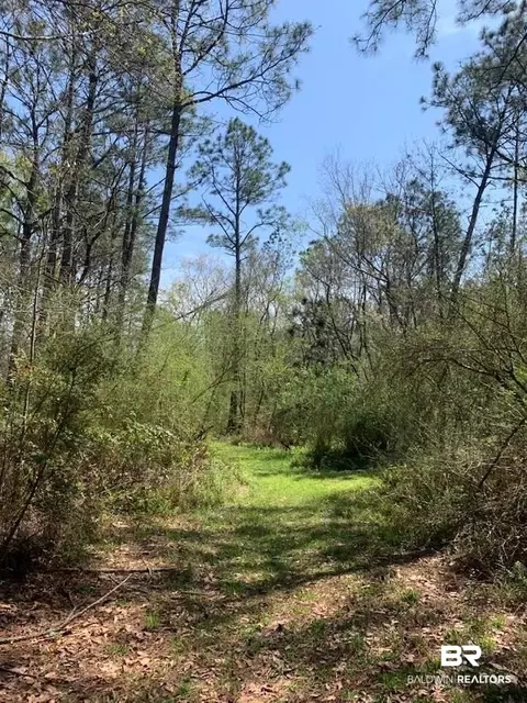 26264 Feely Rd, Elberta, AL 36530 photo 4