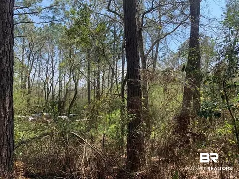 26264 Feely Rd, Elberta, AL 36530 photo 17