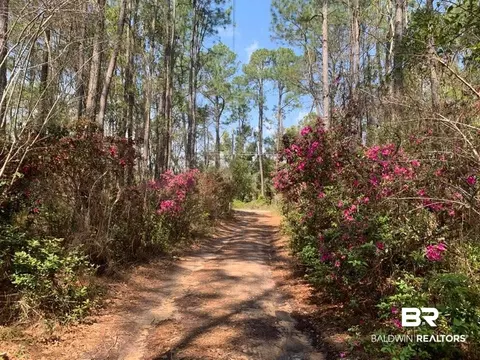 26264 Feely Rd, Elberta, AL 36530 photo 19