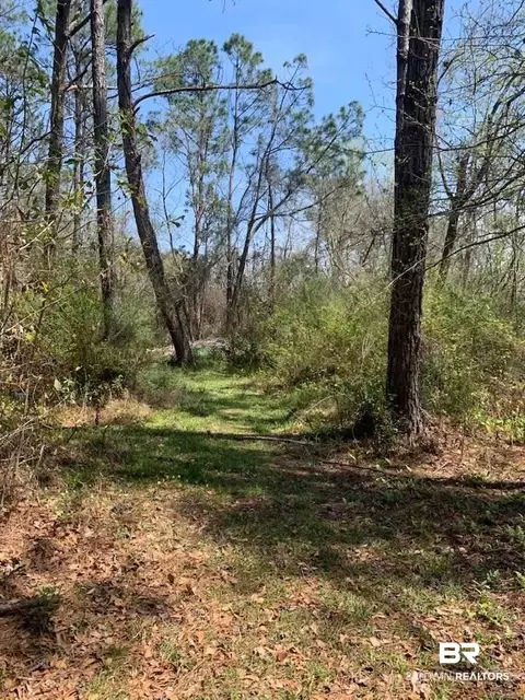 26264 Feely Rd, Elberta, AL 36530 photo 10