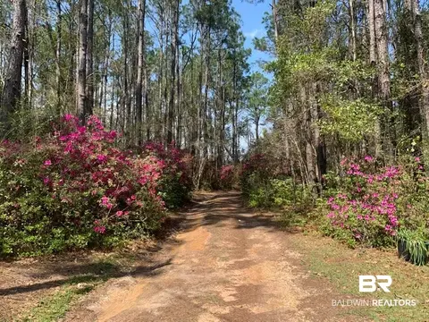 26264 Feely Rd, Elberta, AL 36530 photo 20