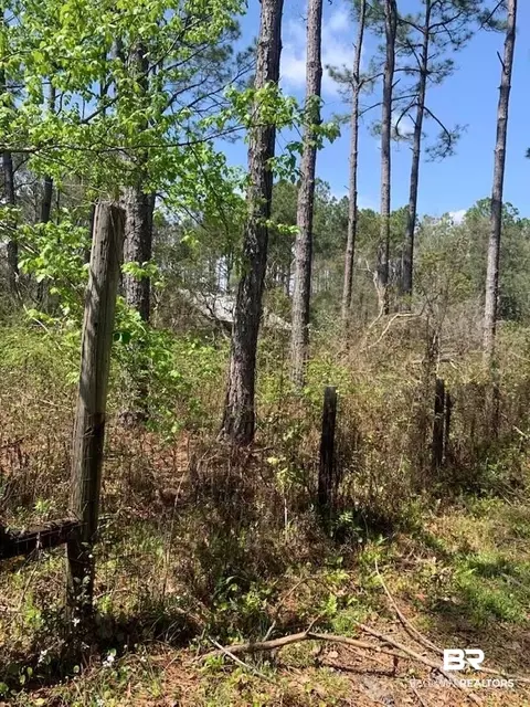 26264 Feely Rd, Elberta, AL 36530 photo 14
