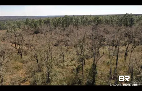 3241 Highway 164, Mcdavid, FL 32568 photo 6