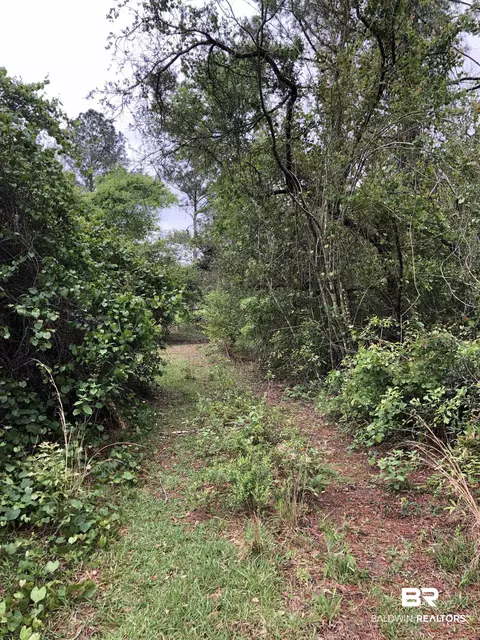 17373 Bemis Ln, Elberta, AL 36530 photo 14
