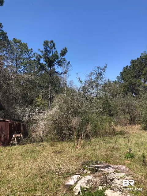 17373 Bemis Ln, Elberta, AL 36530 photo 10