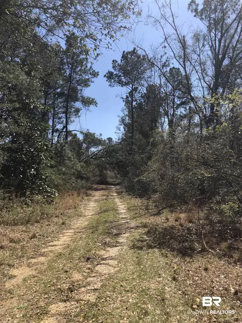 17373 Bemis Ln, Elberta, AL 36530 photo 5