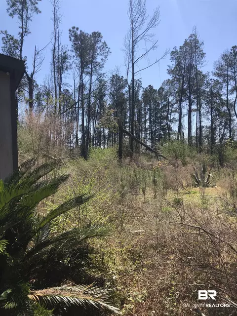 17373 Bemis Ln, Elberta, AL 36530 photo 8