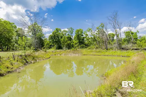 12509 Breman Rd, Elberta, AL 36530 photo 25