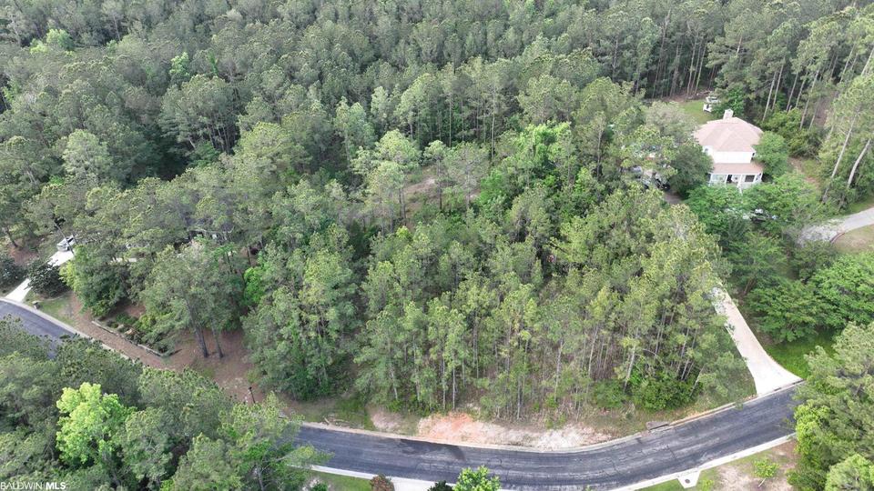 13 Blakeley Oaks Dr, Spanish Fort, AL 36527 13 Photos MLS 330111