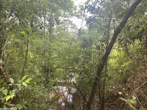 0 Bear Fork Rd, Mobile, AL 36618 photo 5