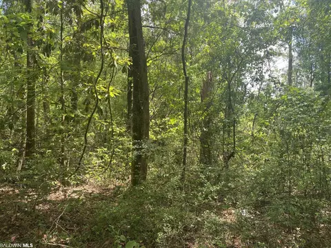 0 Bear Fork Rd, Mobile, AL 36618 photo 3