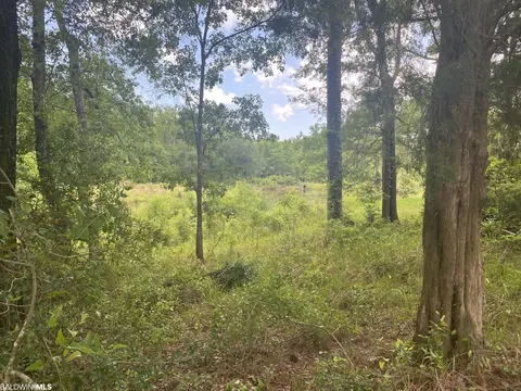 0 Bear Fork Rd, Mobile, AL 36618 photo 6