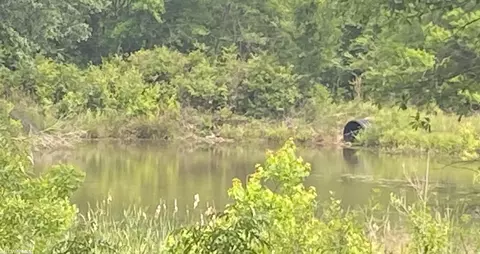 0 Bear Fork Rd, Mobile, AL 36618 photo 7
