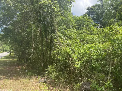 0 Bear Fork Rd, Mobile, AL 36618 photo 1