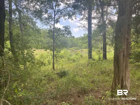 0 Bear Fork Rd, Mobile, AL 36618 photo 6