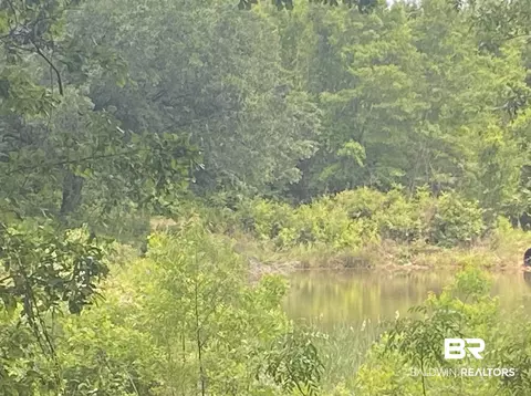 0 Bear Fork Rd, Mobile, AL 36618 photo 4
