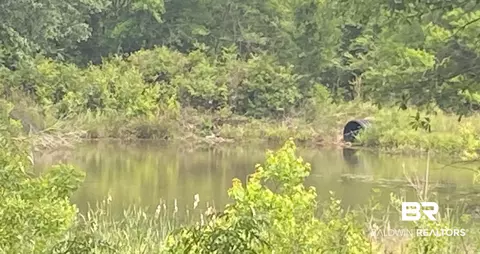 0 Bear Fork Rd, Mobile, AL 36618 photo 7