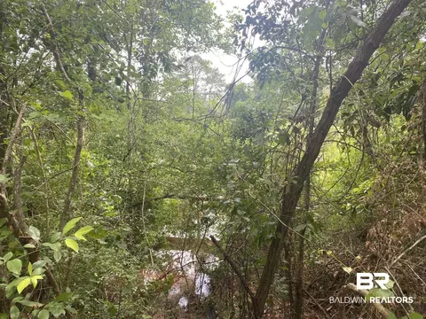 0 Bear Fork Rd, Mobile, AL 36618 photo 5