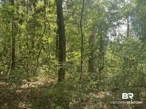 0 Bear Fork Rd, Mobile, AL 36618 photo 3
