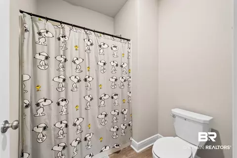 24938 Spectacular Bid Loop, Daphne, AL 36526 photo 17