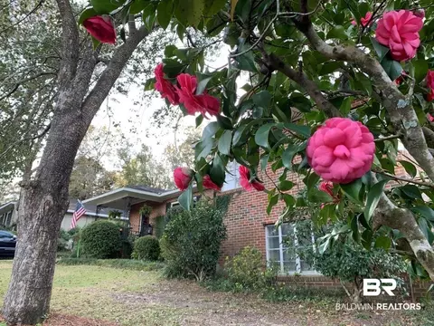 335 Dalewood Dr, Mobile, AL 36608 photo 35