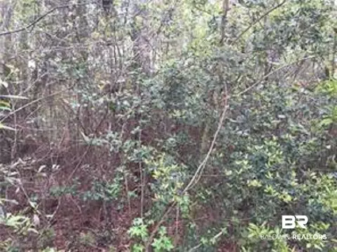 0 Fifth St, Citronelle, AL 36522